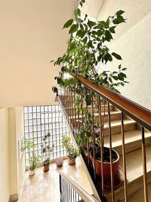 Habitación en casa particular Ostiense